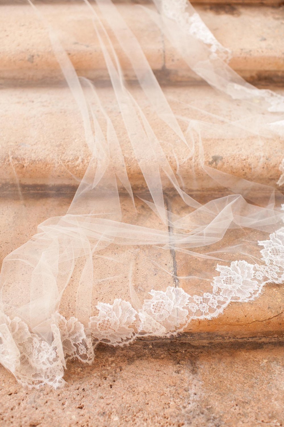 Roseline French Lace Cathedral Length Veil in Ivory or Off-white