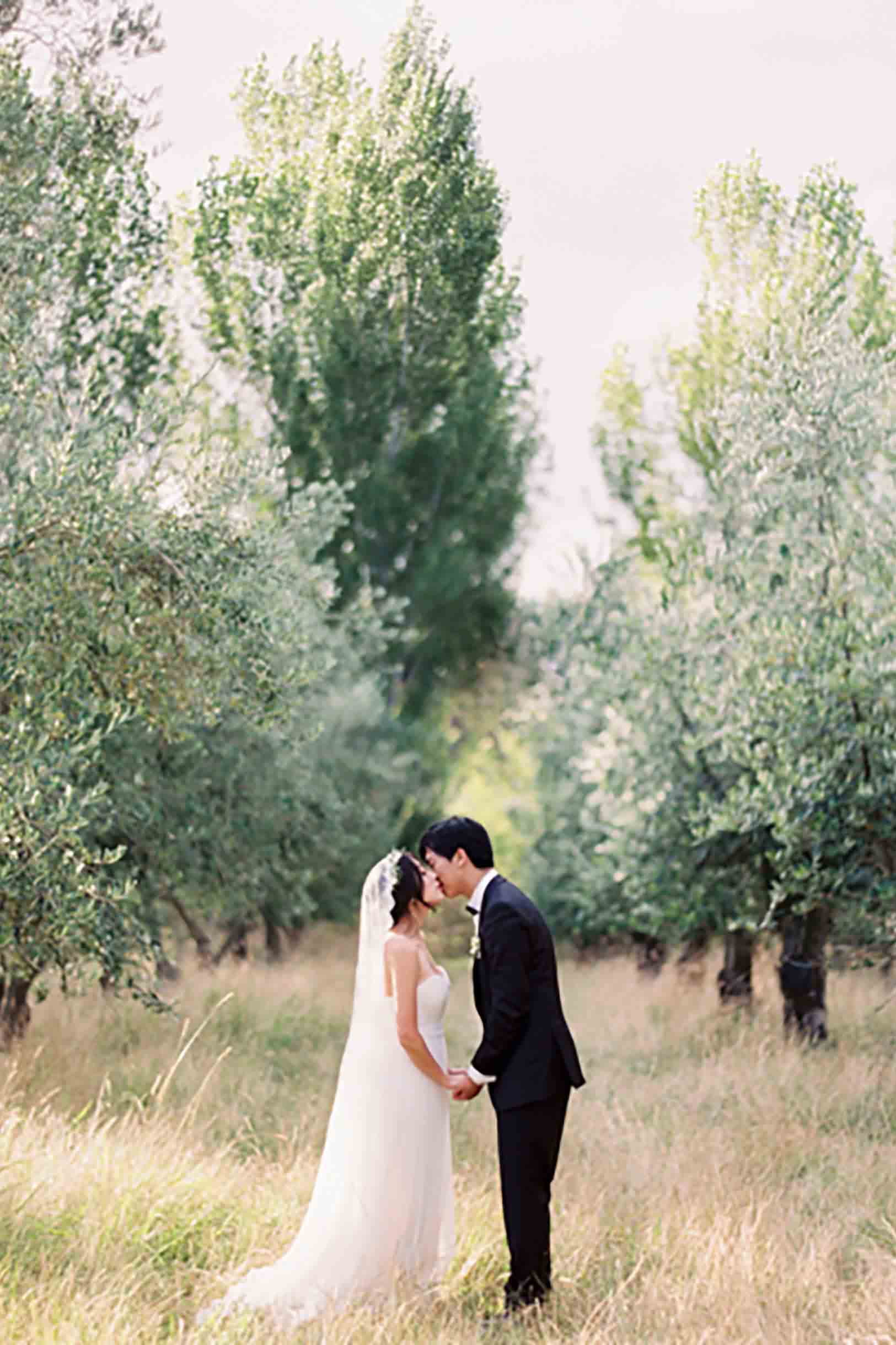Santorini Silk tulle Scalloped Mantilla French Lace veil in Ivory
